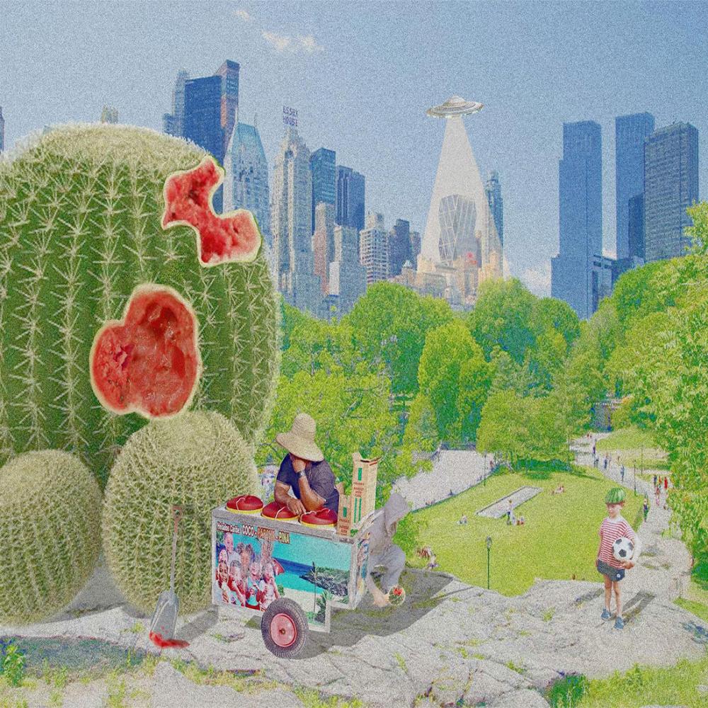 <Watermelon cactus2>